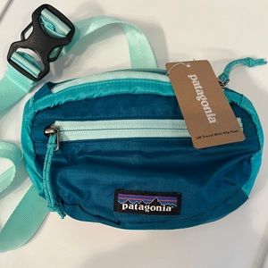 Patagonia Travel Mini Hip Pack